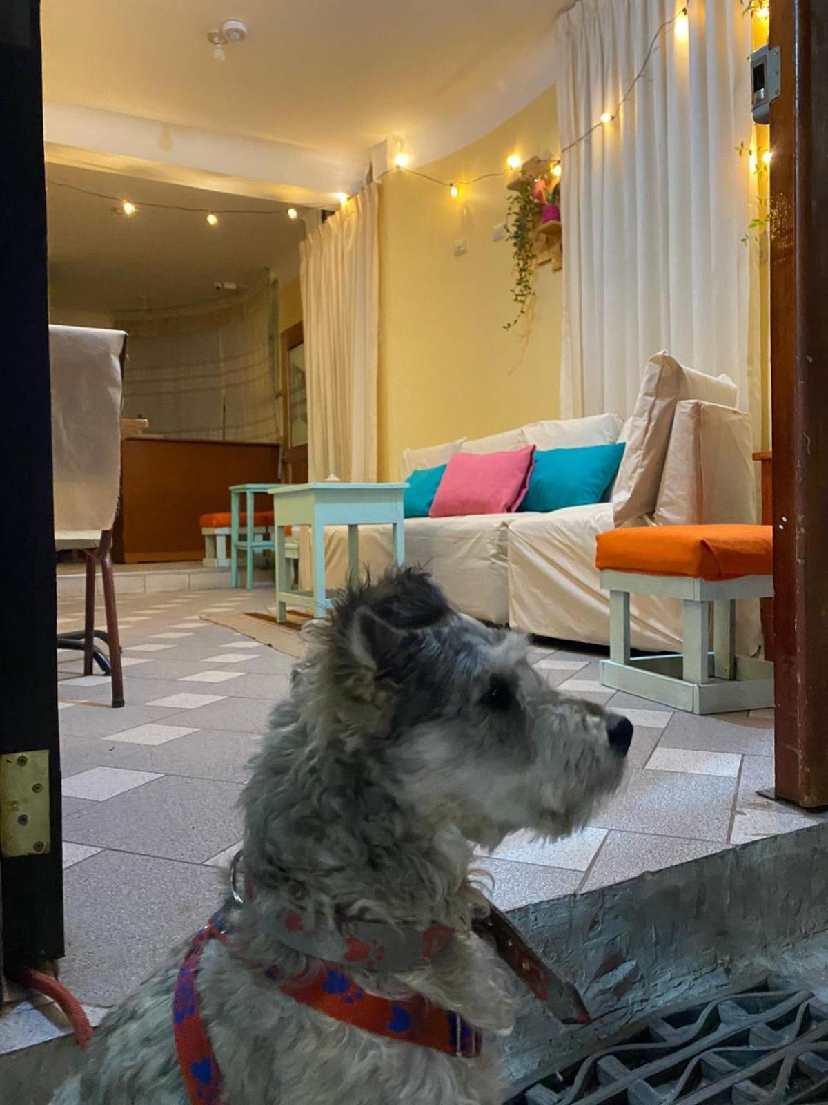 Hotel La Casa De Momo Cuzco Zewnętrze zdjęcie